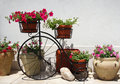 Vintage bicycles make perfect planters